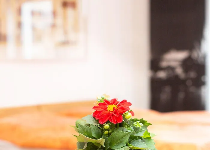 아파트 Apartment11 Thueringer 쾰른