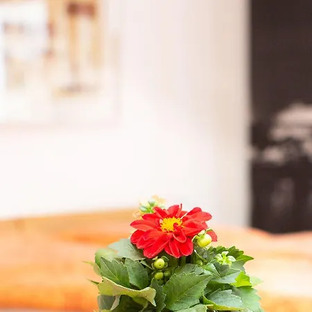 아파트 Apartment11 Thueringer 쾰른